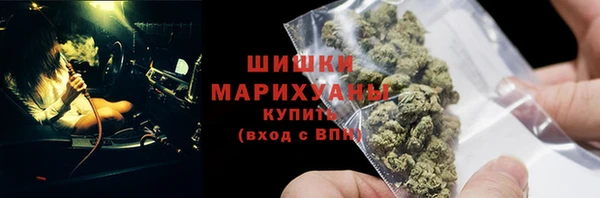 спиды Каменногорск