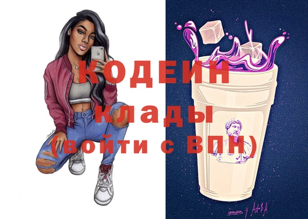 спиды Каменногорск