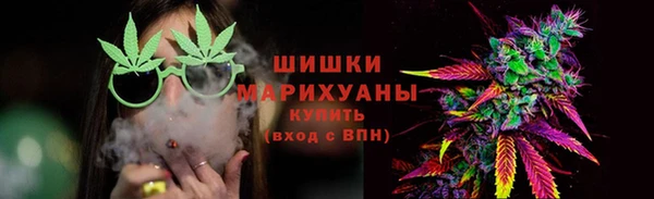 спиды Каменногорск