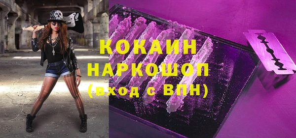 спиды Каменногорск