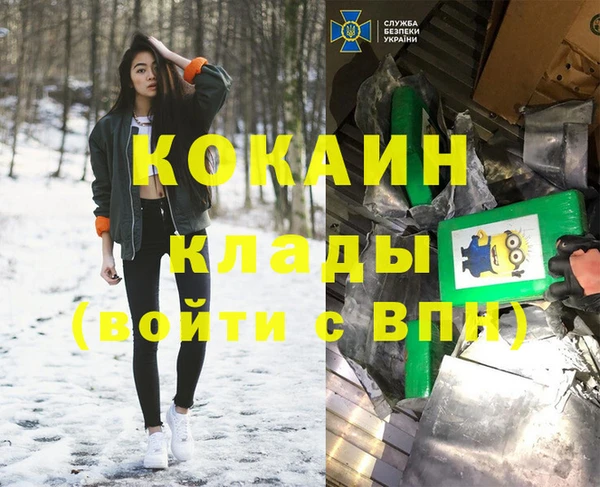 спиды Каменногорск