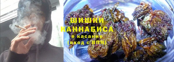 индика Каменск-Шахтинский