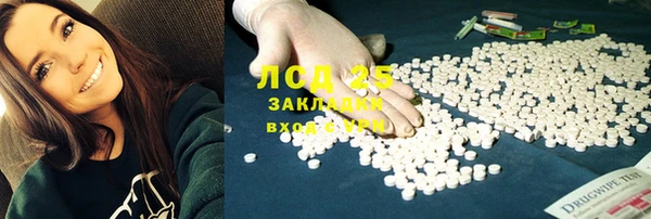 индика Каменск-Шахтинский